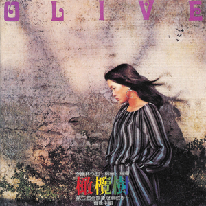 菠萝蜜视频官网
